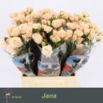 Jana 40cm