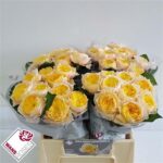 Golden Vuvuzela 40cm