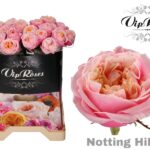 Notting Hill 40cm