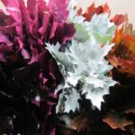 Querc mix color 60cm