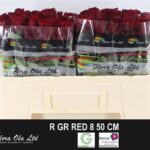 Red8 50 cm