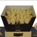 Lovely Avalanche 60cm