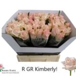 Kimberly 60cm