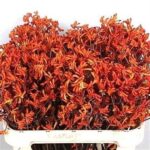 Anigoz Orange Velvet 90cm