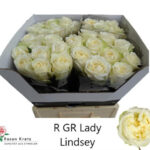 Lady Linsey 40cm
