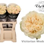 Victoria Wedding 40cm