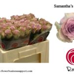 Samantha Bridal 50 cm