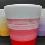 Phalanopsis mix color