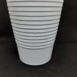 Phalanopsis righe bianche