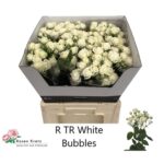 White Bubbles 70cm