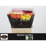 Gemengd (misto) 60cm