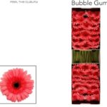 Ge Gr Blubble gum