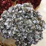 Hydrangea Dry Argento (Ortensia Essiccata)