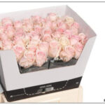 Lovely Dolomiti 60cm (A2)