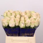 Wedding Rose 40cm