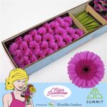 Ge Mi Pictur Perfect