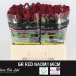 Red Naomi 60cm