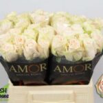 Wedding Rose 50cm