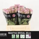 Samantha Bridal 40cm