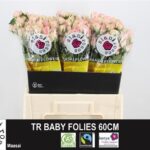 Baby Folies 60cm