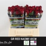 Red Naomi 40cm(kenya)