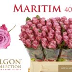 Maritim 40cm