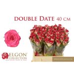 Double date 40cm