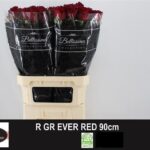 Ever Red 90cm