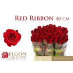 Red ribbon 40cm