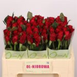 Red Ribbon 50cm