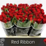 Red ribbon 60cm