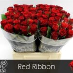 Red ribbon 40cm