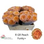 Peach Funky 40cm