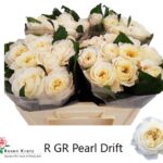 Pearl Drift 50cm