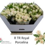 Royal Porcelina 60cm