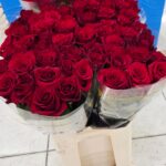 Explorer 60cm (locale)