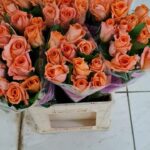 Incenso 70cm (locale)