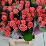 Miss Piggy 70cm (locale)