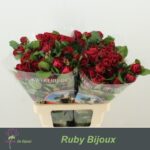 Ruby Bijoux 60cm