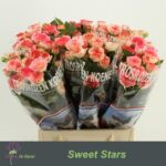 Sweet Stars 50cm