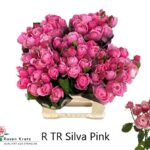 Silva Pink 40cm