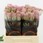 Samantha Bridal 60cm