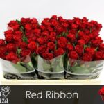 Red Ribbon 50cm
