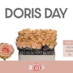 Doris Day 50cm