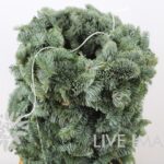 Ghirlande di nobilis 32cm