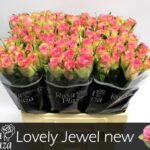 Lovely Jewel 60cm