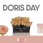 Doris Day 40cm