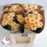 Golden Vuvuzela 50cm