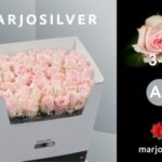 Sweet dolomiti 70cm (A2)