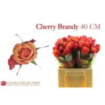 Cherry Brandy 40cm